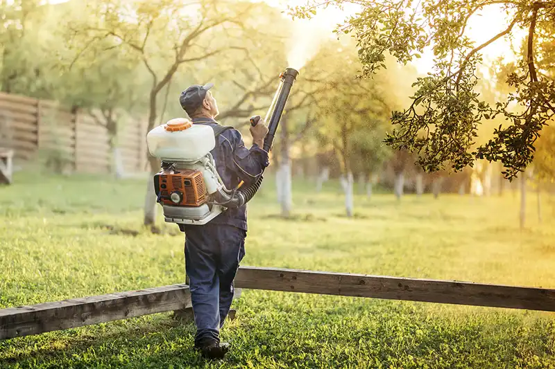 Lawn Fertilization in Deltona, FL