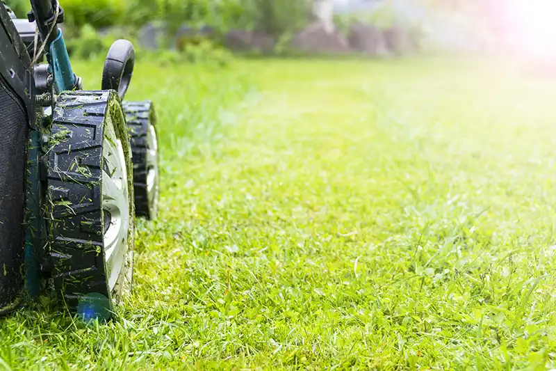 Lawn Mowing Deltona, FL